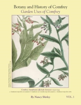 BOTANY AND HISTORY OF COMFREY  GARDEN US