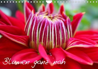 Blumen ganz nah (Wandkalender 2023 DIN A4 quer)