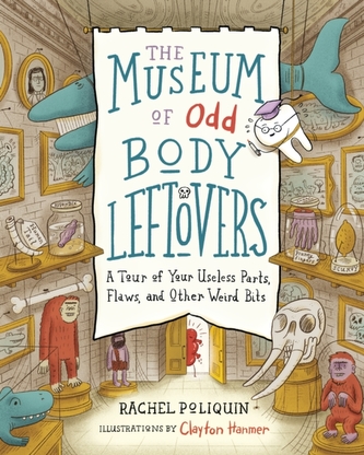 The Museum of Odd Body Leftovers