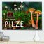 Pilze - kleine Giganten (Premium, hochwertiger DIN A2 Wandkalender 2023, Kunstdruck in Hochglanz)