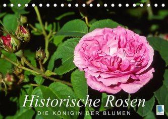 Historische Rosen ¿ die Königin der Blumen (Tischkalender 2023 DIN A5 quer)