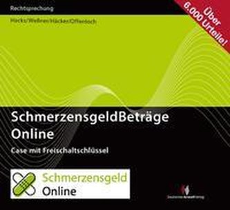 SchmerzensgeldBeträge 2023 Online