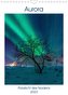 Aurora - Polarlicht des Nordens (Wandkalender 2023 DIN A4 hoch)
