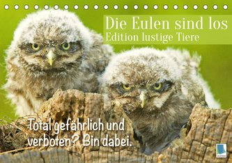 Die Eulen sind los: Edition lustige Tiere (Tischkalender 2023 DIN A5 quer)