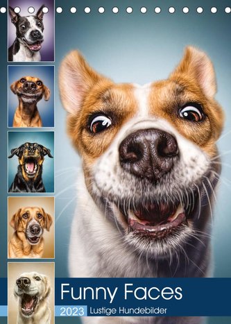Funny Faces - Lustige Hundebilder (Tischkalender 2023 DIN A5 hoch)