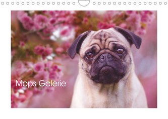 Mops Galerie (Wandkalender 2023 DIN A4 quer)