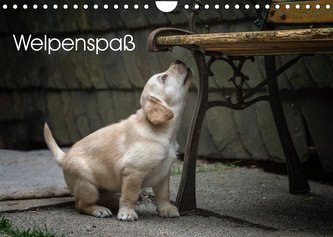 Welpenspaß (Wandkalender 2023 DIN A4 quer)