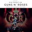 Ein Tribut an  Guns n' Roses