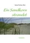 Ein Sandkorn strandet