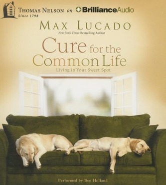 Cure for the Common Life: Living in Your Sweet Spot