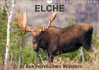 ELCHE In den nördlichen Wäldern (Wandkalender 2023 DIN A4 quer)