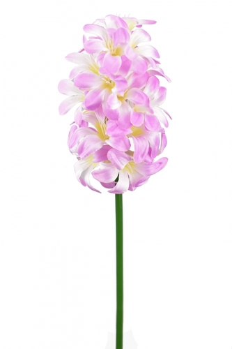 Hyacint růžový 48 cm