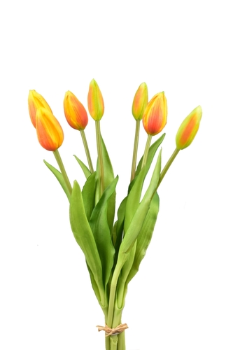 Kytice 7 tulipánů oranžová 37,5 cm