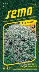 Suchobýl tatarský - Statice tatarika bílý 0,2g