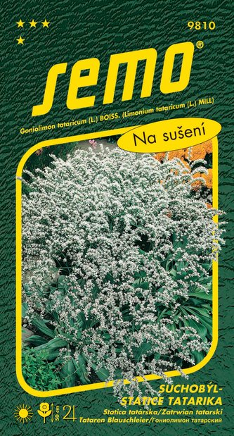 Suchobýl tatarský - Statice tatarika bílý 0,2g