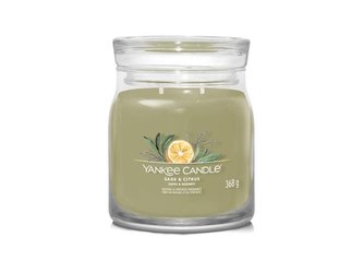 YANKEE CANDLE Sage & Citrus svíčka 368g / 2 knoty (Signature střední)