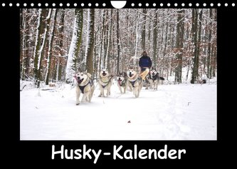 Husky-Kalender (Wandkalender 2023 DIN A4 quer)