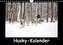 Husky-Kalender (Wandkalender 2023 DIN A4 quer)