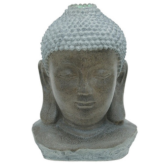 Socha budhy Europalms, hlava, přírodní vzhled