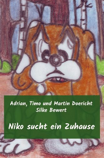 Niko sucht ein Zuhause