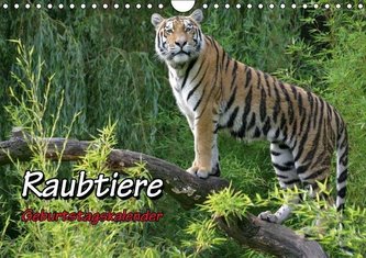 Raubtiere Geburtstagskalender (Wandkalender immerwährend DIN A4 quer)