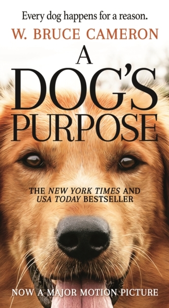 DOGS PURPOSE MTI