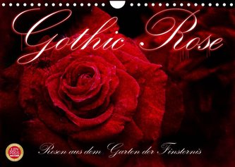 Gothic Rose - Rosen aus dem Garten der Finsternis (Wandkalender 2023 DIN A4 quer)