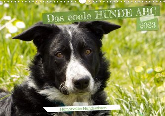 Das coole Hunde ABC (Wandkalender 2023 DIN A3 quer)