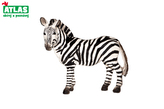 D - Figurka Zebra 10 cm