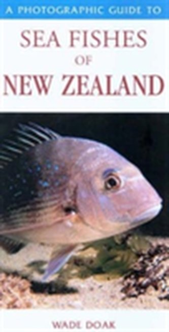 Photographic Guide To Sea Fishes Of New Zealand