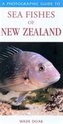 Photographic Guide To Sea Fishes Of New Zealand