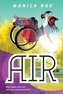 Air