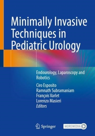 Minimally Invasive Techniques in Pediatric Urology