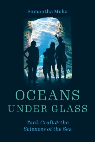 Oceans under Glass