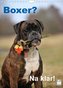 Boxer? Na klar! (Wandkalender 2023 DIN A4 hoch)