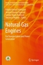 Natural Gas Engines
