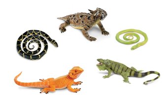 Hadi a ještěři (5 ks)