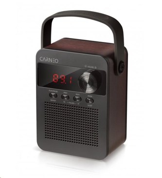 CARNEO F90 FM rádio, bluetooth reproduktor, black/wood