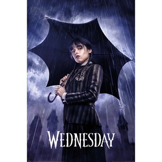 Plakát Wednesday - Downpour