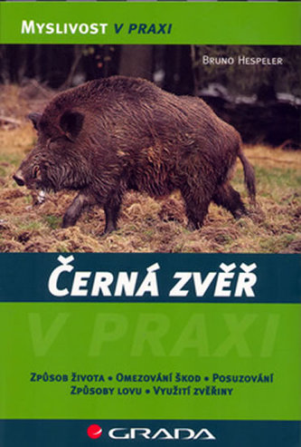 Černá zvěř