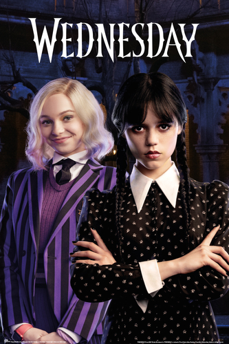 Plakát Netflix|Wednesday: Wednesday And Enid (61 x 91,5 cm)