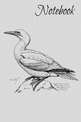 Notebook: Cape Gannet Homework Book Notepad Notebook Composition and Journal Gratitude Diary Gift