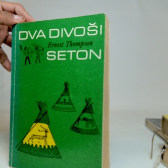 Dva divoši
