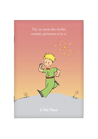 Sešit A6 CARA607G02 MALÝ PRINC KIUB