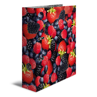 Poradač pákový A4/7cm Lesné plody