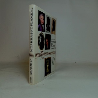 Sbohem, můj krásný Plameni