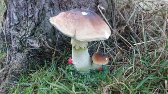 Houba polyston 17cm