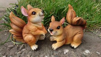 Veverka polyston velká