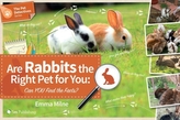 Are Rabbits the Right Pet for You?