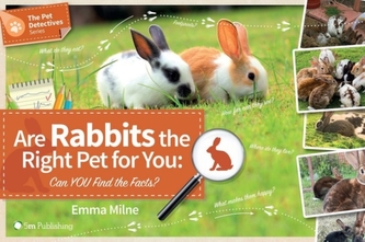 Are Rabbits the Right Pet for You?